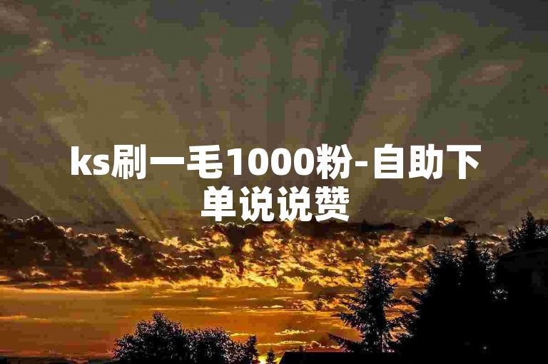 ks刷一毛1000粉-自助下单说说赞