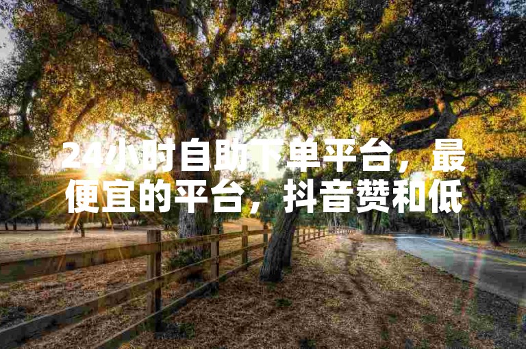 24小时自助下单平台，最便宜的平台，抖音赞和低价卡盟如何使用？