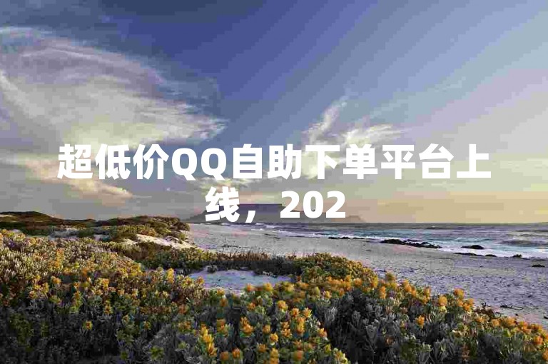 超低价QQ自助下单平台上线，2025年必学高效便捷服务