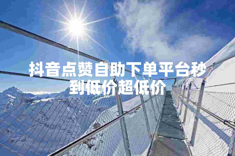 抖音点赞自助下单平台秒到低价超低价