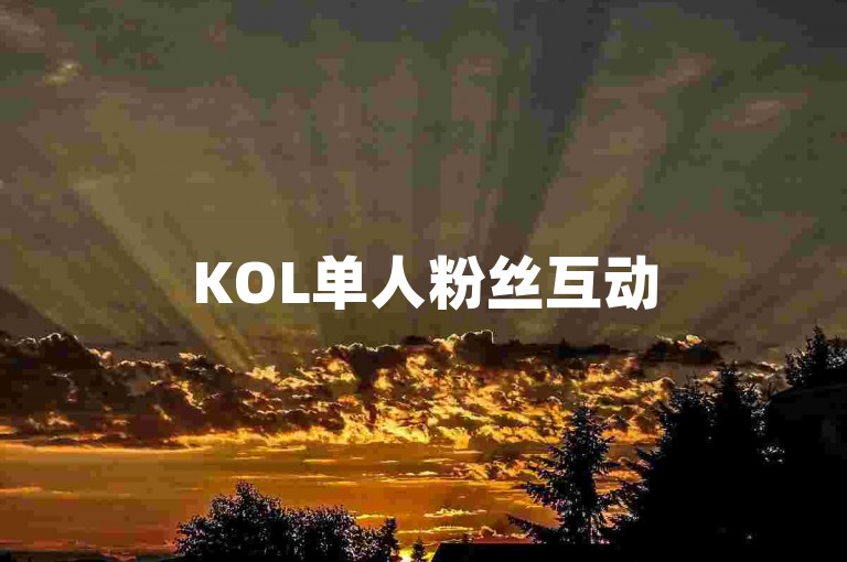 KOL单人粉丝互动