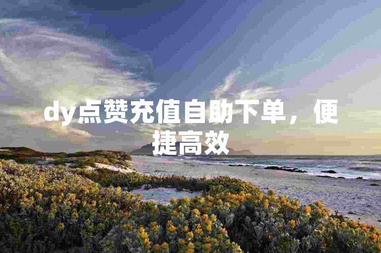 dy点赞充值自助下单，便捷高效