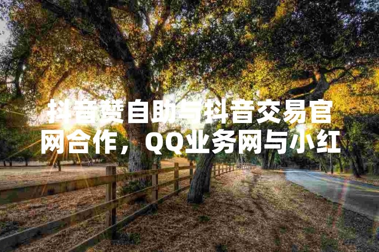 抖音赞自助与抖音交易官网合作，QQ业务网与小红书账号购买渠道