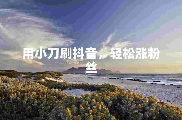 用小刀刷抖音，轻松涨粉丝