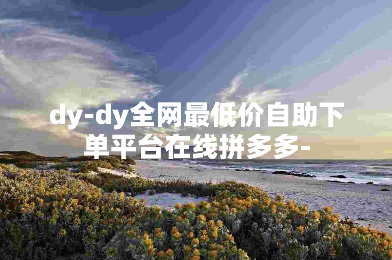 dy-dy全网最低价自助下单平台在线拼多多-