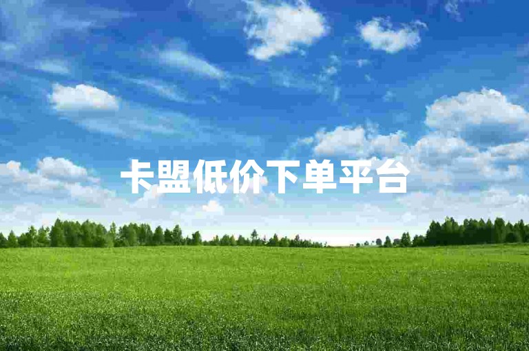 卡盟低价下单平台