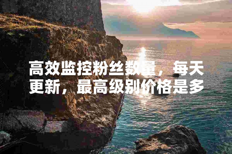 高效监控粉丝数量，每天更新，最高级别价格是多少。