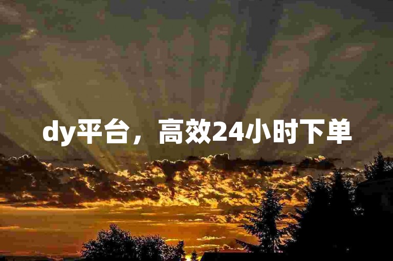 dy平台，高效24小时下单