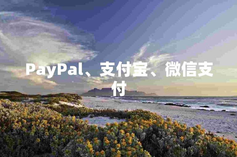 PayPal、支付宝、微信支付