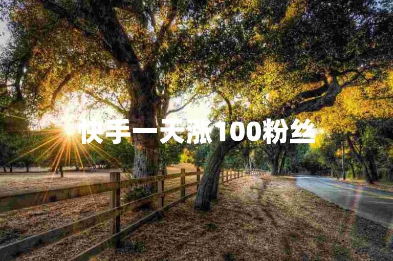 快手一天涨100粉丝