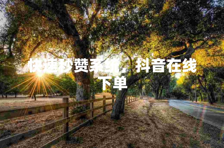 快速秒赞系统，抖音在线下单