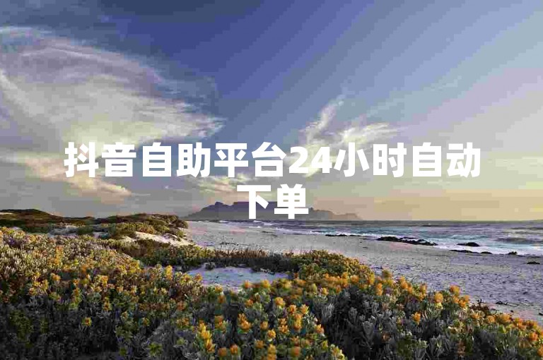 抖音自助平台24小时自动下单