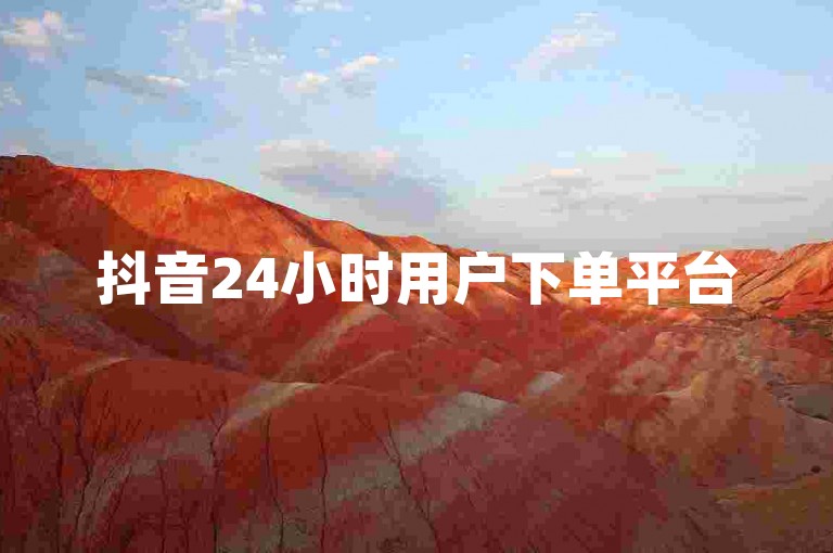抖音24小时用户下单平台