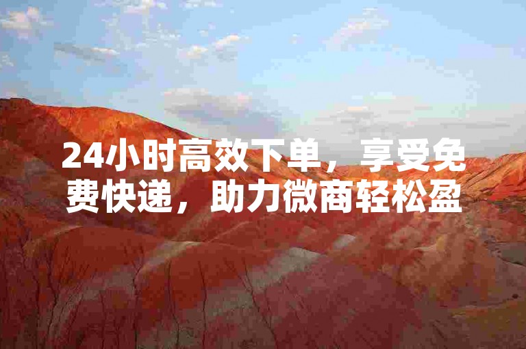 24小时高效下单，享受免费快递，助力微商轻松盈利