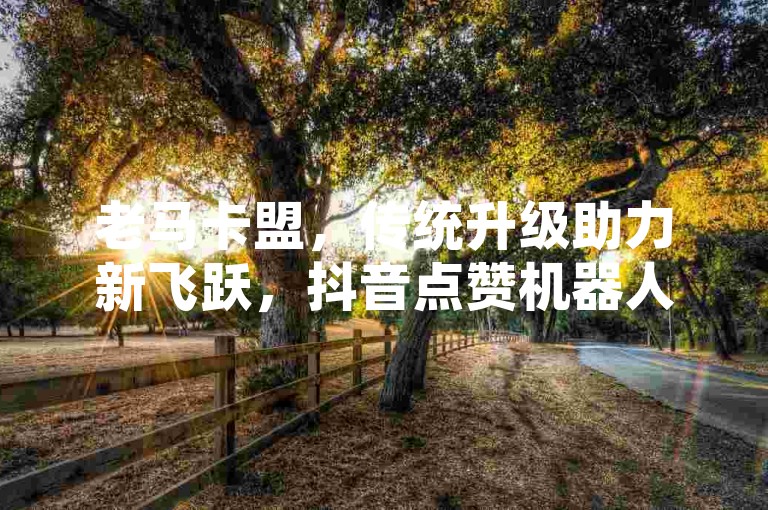 老马卡盟，传统升级助力新飞跃，抖音点赞机器人助力销售额飙升，QQ主页赞如何快速飙升！