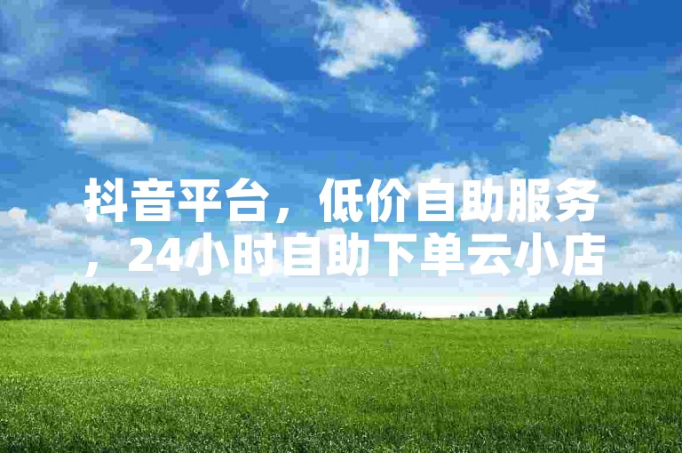 抖音平台，低价自助服务，24小时自助下单云小店，刷空间访客人数，2024必学！