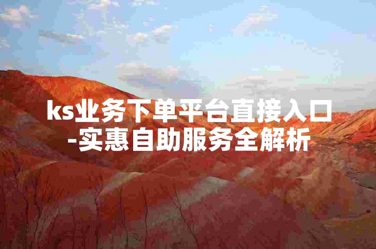 ks业务下单平台直接入口-实惠自助服务全解析