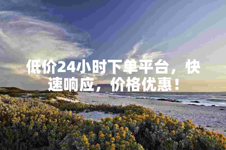 低价24小时下单平台，快速响应，价格优惠！