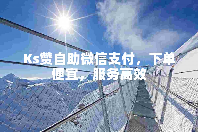Ks赞自助微信支付，下单便宜，服务高效