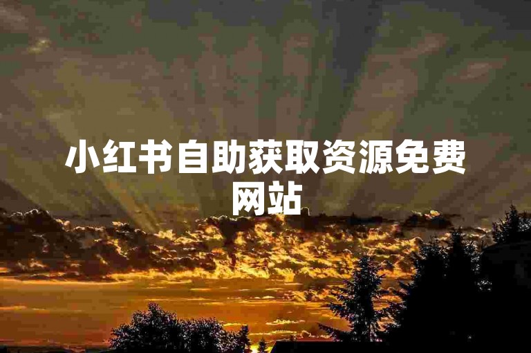小红书自助获取资源免费网站