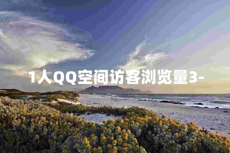 1人QQ空间访客浏览量3-