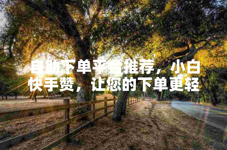 自助下单平台推荐，小白快手赞，让您的下单更轻松
