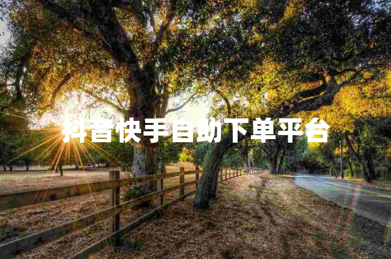 抖音快手自助下单平台