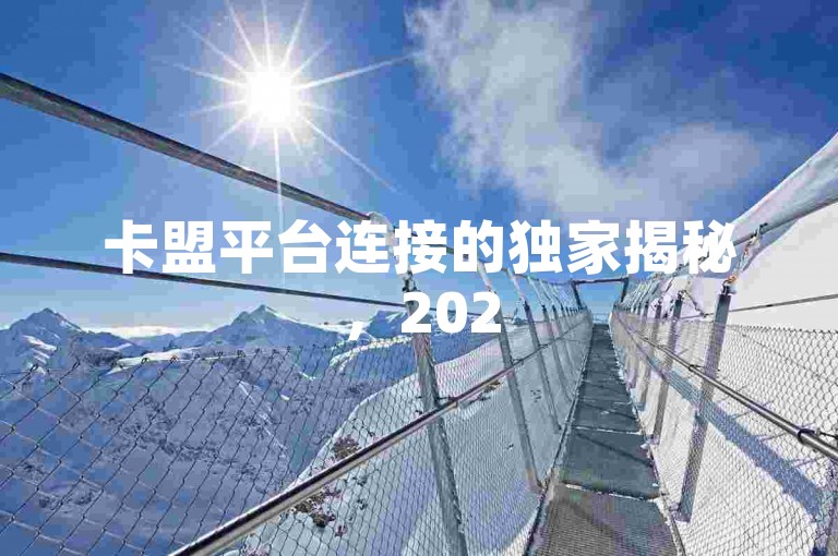 卡盟平台连接的独家揭秘，2025必学