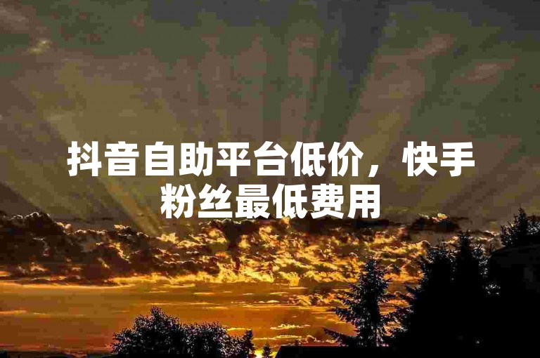抖音自助平台低价，快手粉丝最低费用