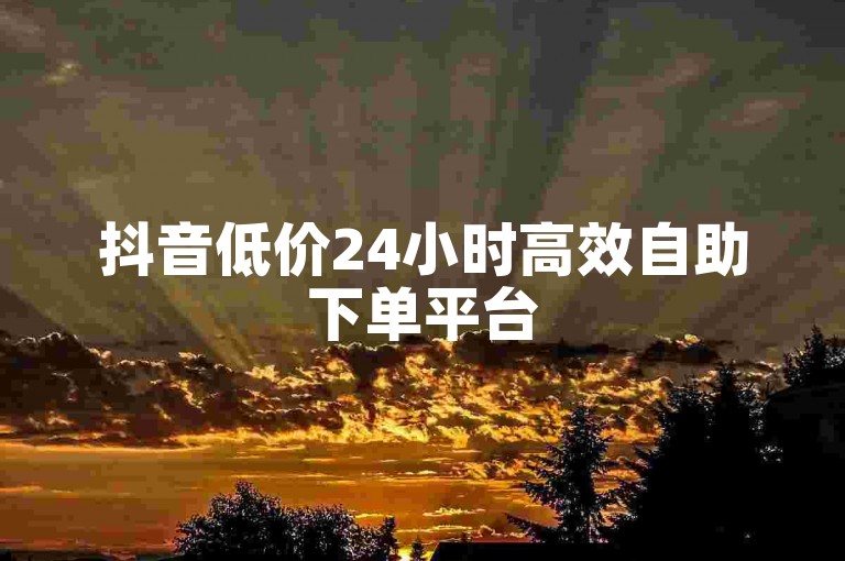 抖音低价24小时高效自助下单平台