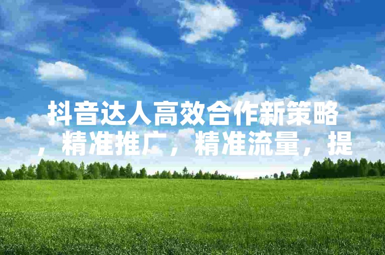 抖音达人高效合作新策略，精准推广，精准流量，提升用户粘性
