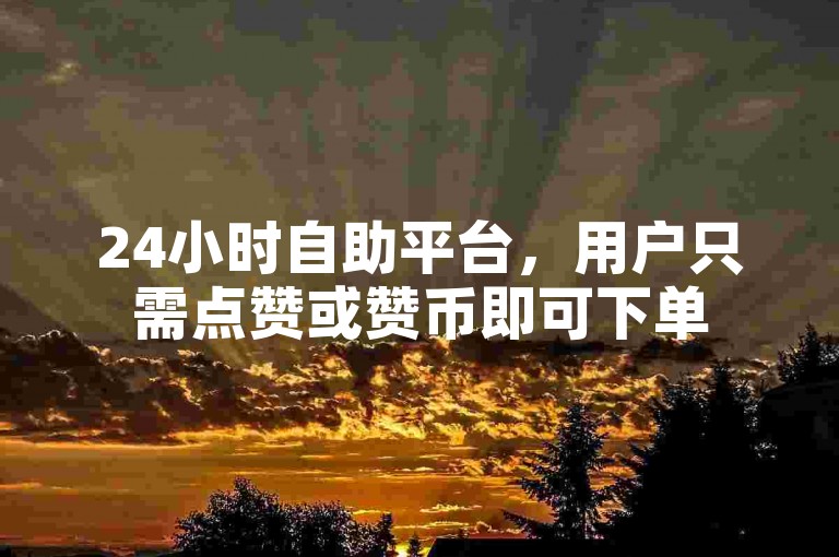 24小时自助平台，用户只需点赞或赞币即可下单