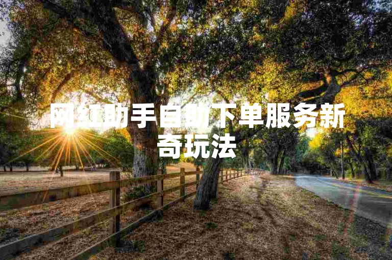 网红助手自助下单服务新奇玩法