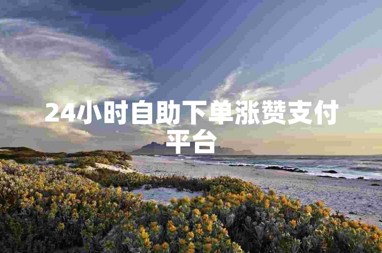 24小时自助下单涨赞支付平台