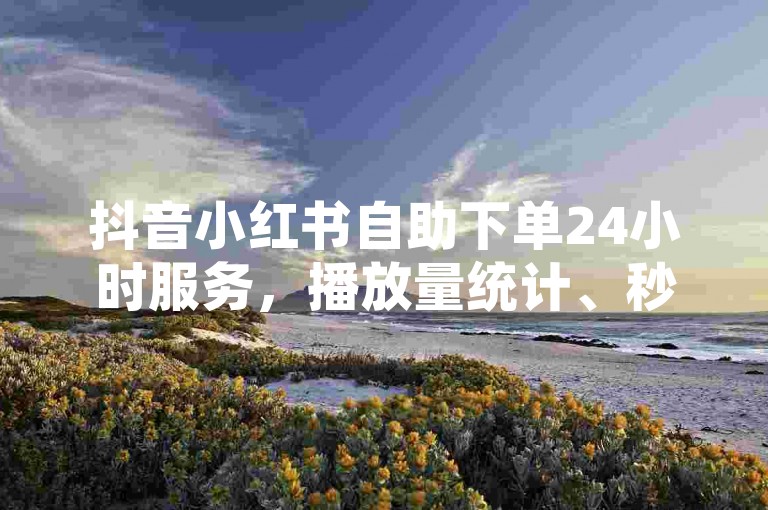 抖音小红书自助下单24小时服务，播放量统计、秒杀活动、下单便捷，不容错过！