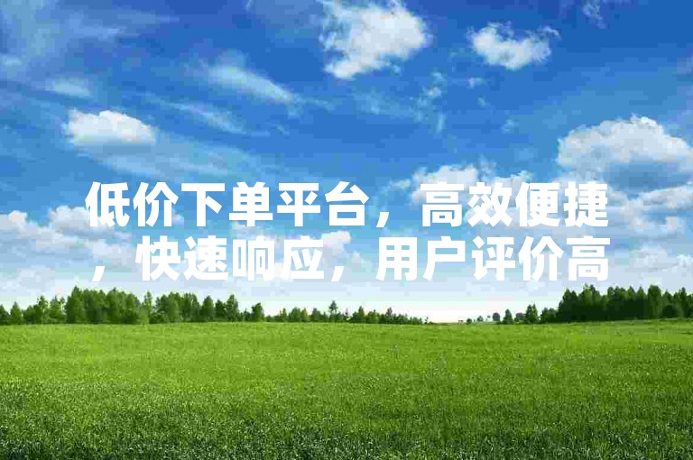 低价下单平台，高效便捷，快速响应，用户评价高！
