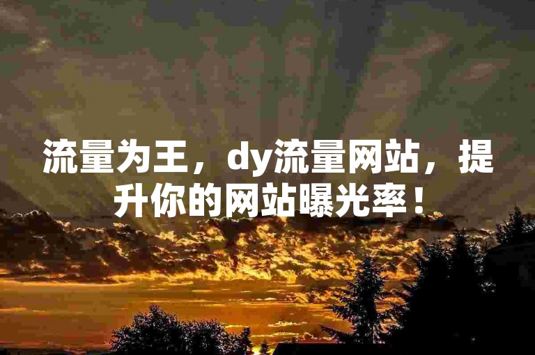 流量为王，dy流量网站，提升你的网站曝光率！