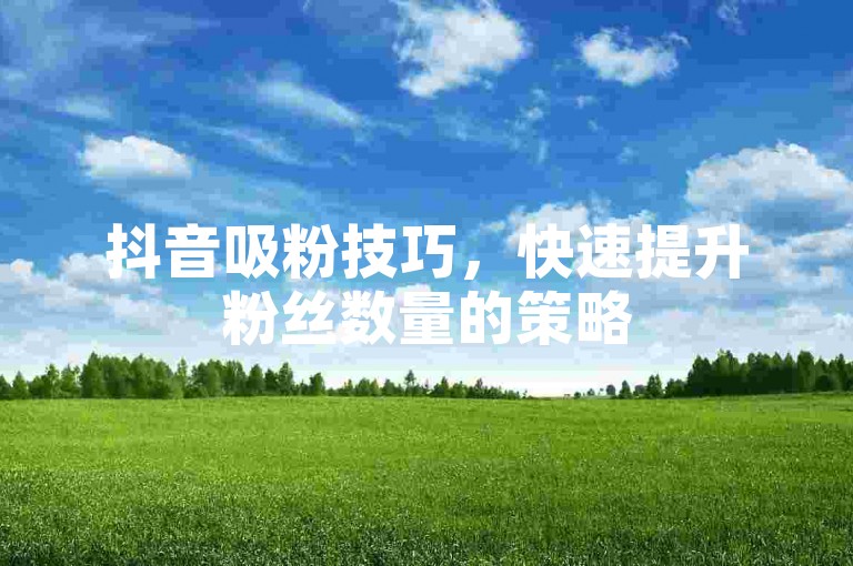 抖音吸粉技巧，快速提升粉丝数量的策略