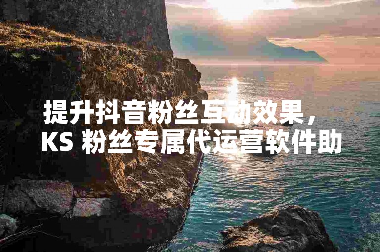 提升抖音粉丝互动效果， KS 粉丝专属代运营软件助力精准运营