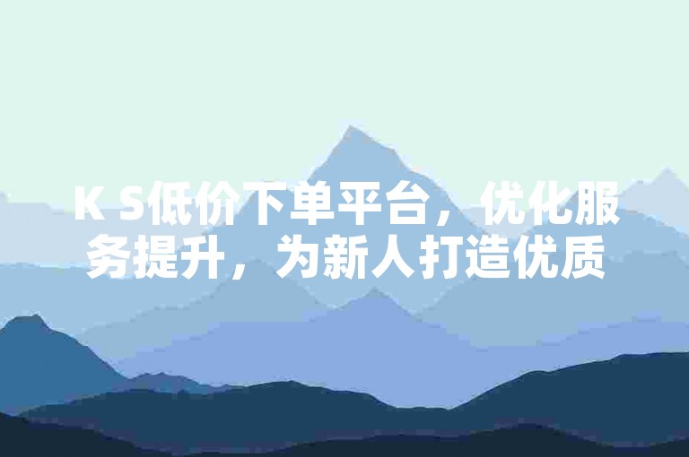 K S低价下单平台，优化服务提升，为新人打造优质体验