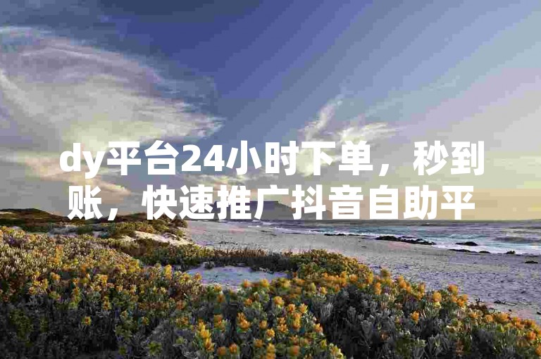 dy平台24小时下单，秒到账，快速推广抖音自助平台套餐
