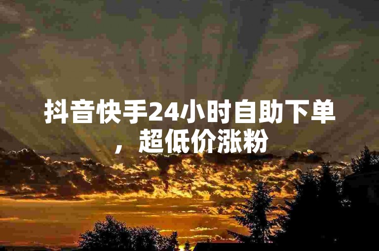 抖音快手24小时自助下单，超低价涨粉
