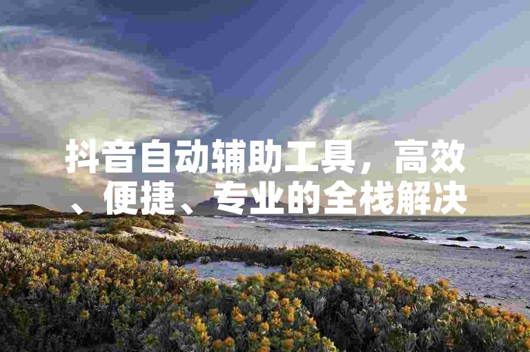 抖音自动辅助工具，高效、便捷、专业的全栈解决方案