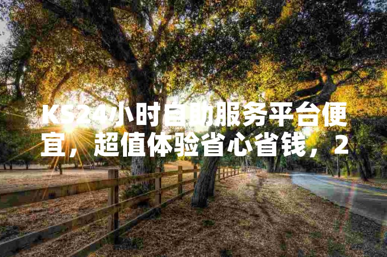 KS24小时自助服务平台便宜，超值体验省心省钱，24小时服务更贴心，性价比高！