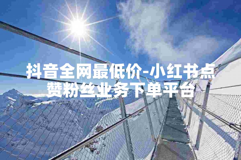 抖音全网最低价-小红书点赞粉丝业务下单平台