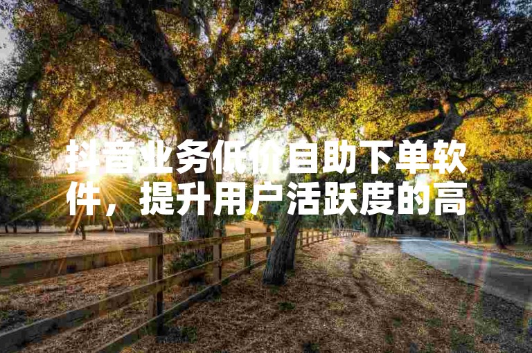 抖音业务低价自助下单软件，提升用户活跃度的高效工具