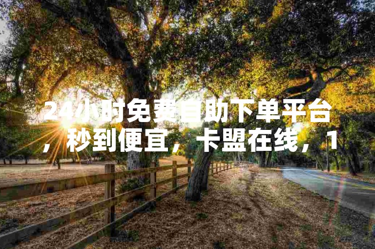 24小时免费自助下单平台，秒到便宜，卡盟在线，100赞0.5自助下单