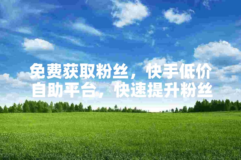 免费获取粉丝，快手低价自助平台，快速提升粉丝数量，充币获取资源。