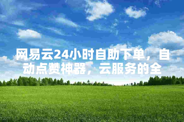 网易云24小时自助下单，自动点赞神器，云服务的全能神器