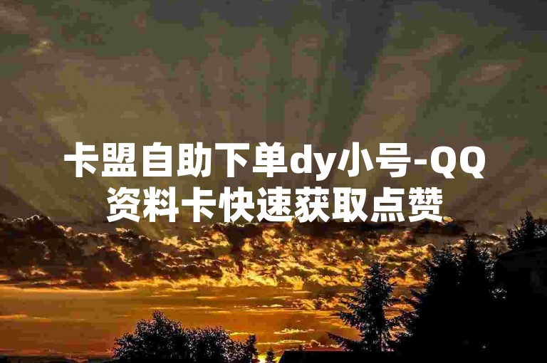 卡盟自助下单dy小号-QQ资料卡快速获取点赞